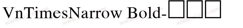 VnTimesNarrow Bold字体转换